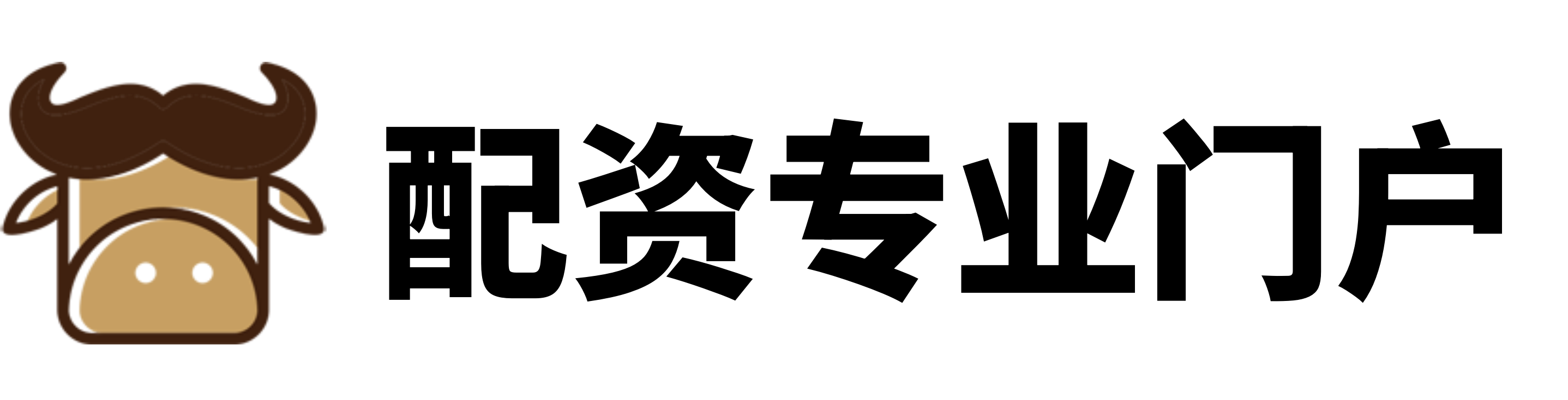 点搭网配资
