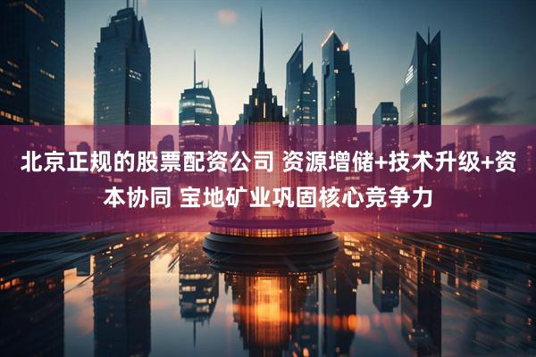 北京正规的股票配资公司 资源增储+技术升级+资本协同 宝地矿业巩固核心竞争力