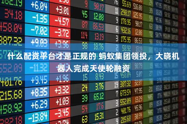 什么配资平台才是正规的 蚂蚁集团领投，大晓机器人完成天使轮融资