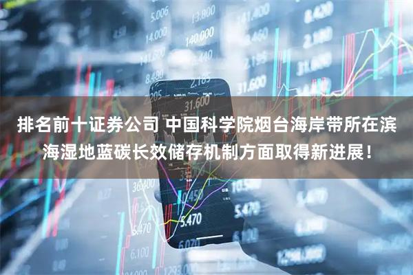 排名前十证券公司 中国科学院烟台海岸带所在滨海湿地蓝碳长效储存机制方面取得新进展！